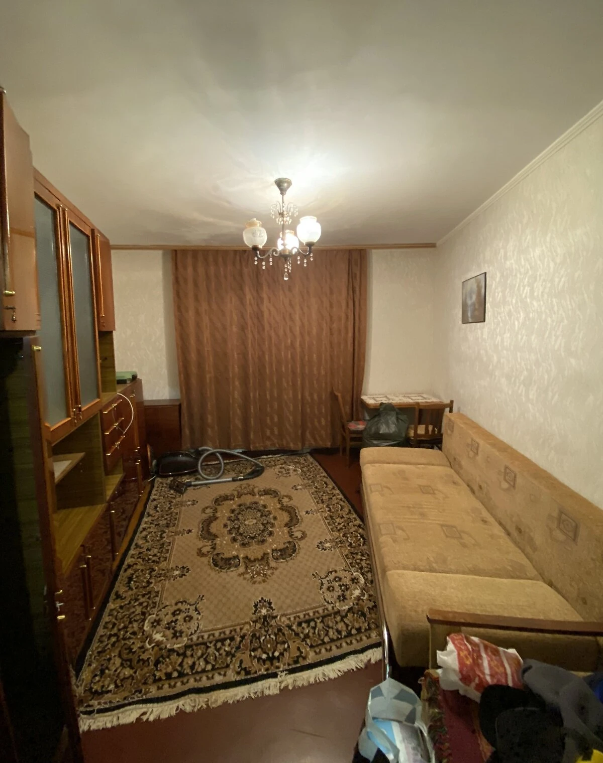 1-кімнатна квартира, Зарічний: газ і вода без світла, можливий торг - фото 1