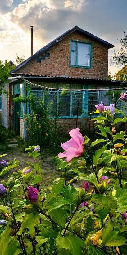 Дача, Полтава: біля річки, 15 соток, сонячні панелі - фото 1