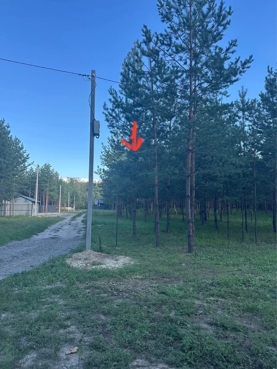 Ділянка 8 соток у ЖК GREEN TOWN: ліс у межах 1 км, електрика і газ - фото 4