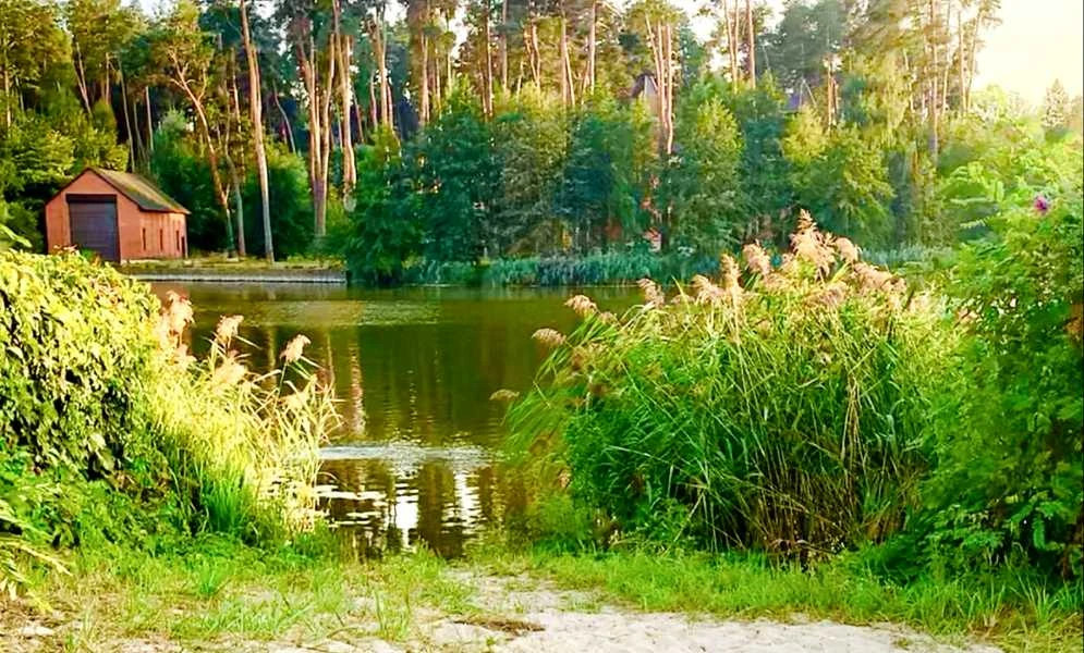 Будинок, Українка: серед лісу, біля річки Стугна, 6 соток - фото 4