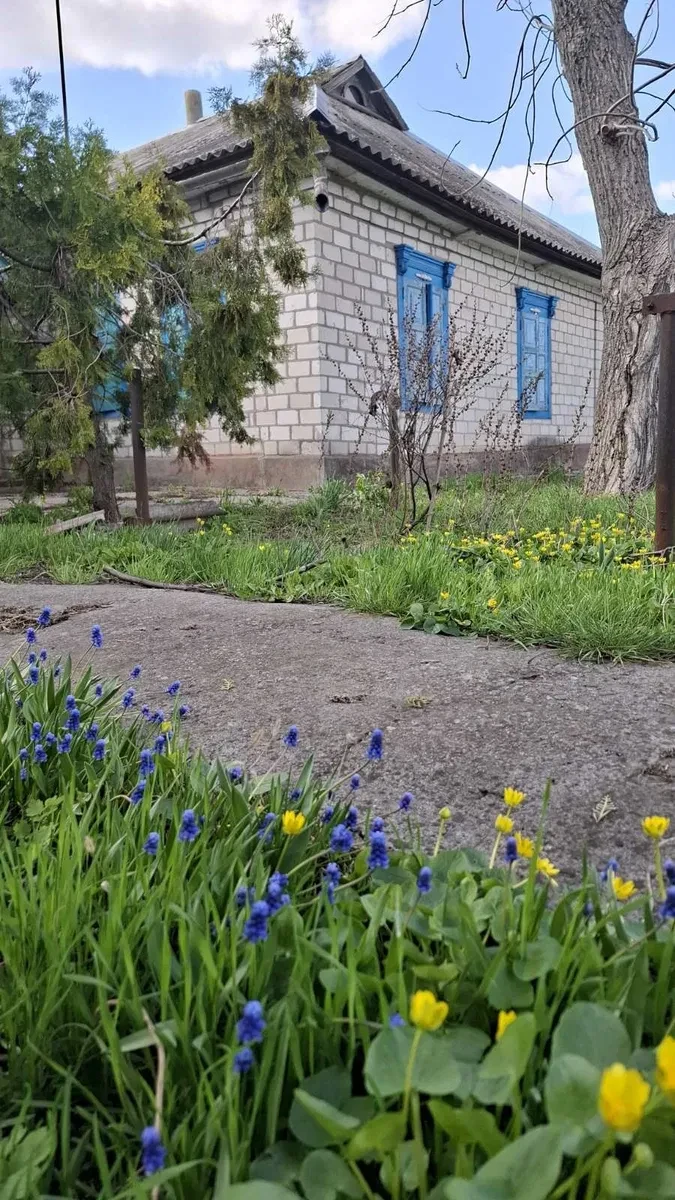 Будинок, Нова Знам'янка: 34 сотки, сад, до 5 км від міста - фото 4