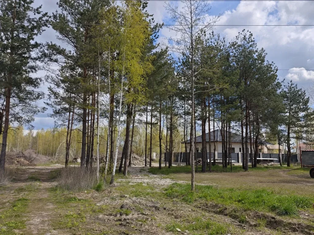 Ділянка 6 соток, Нове: сосни, озера, доступ до басейну - фото 1