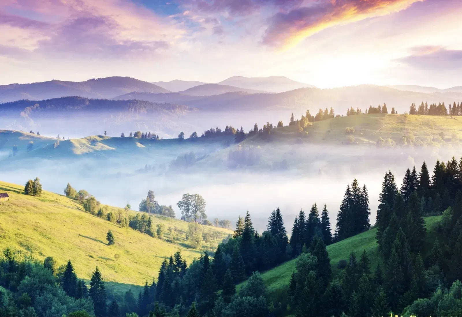 Ділянка 100 соток, Тухля: панорамний вид на гори та ліс, поруч Goro - фото 3