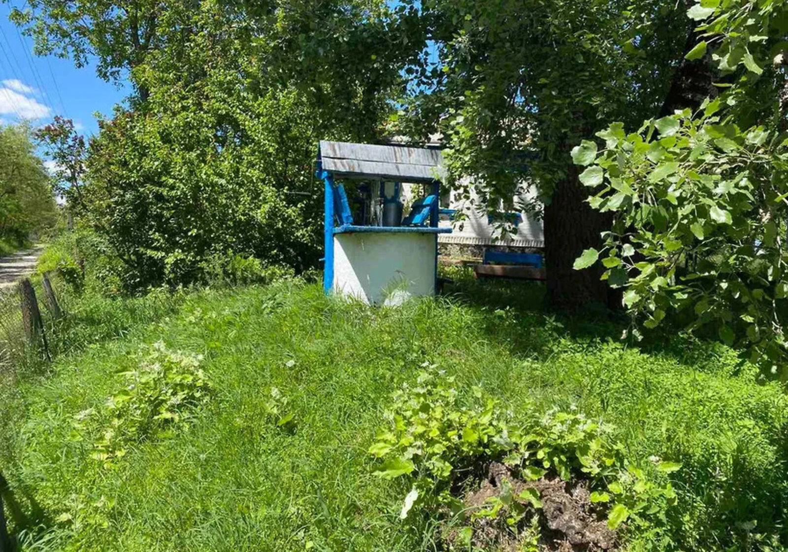 Будинок, Петрики: веранда, сад, ділянка 50 соток, фото 4