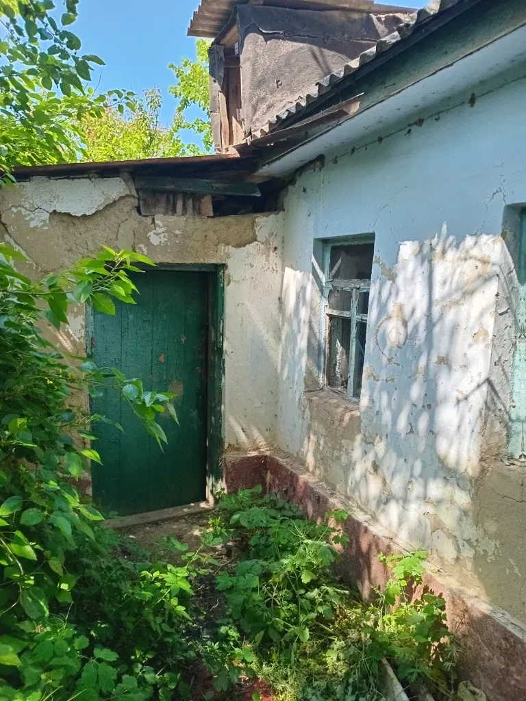 Дом за Фрунзенским массивом: выход к озеру Шпаковое, новые строения, фото 5