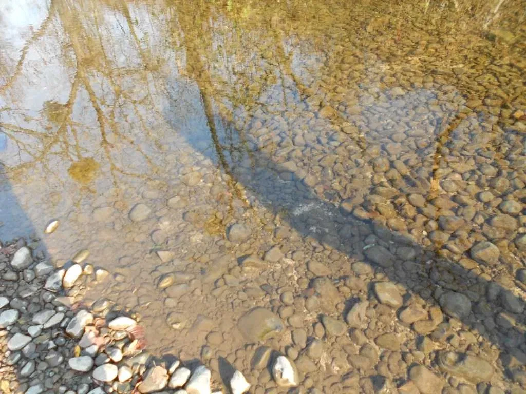 Ділянка 95 соток, Ужгородський район: мінеральна вода, спа, фото 5