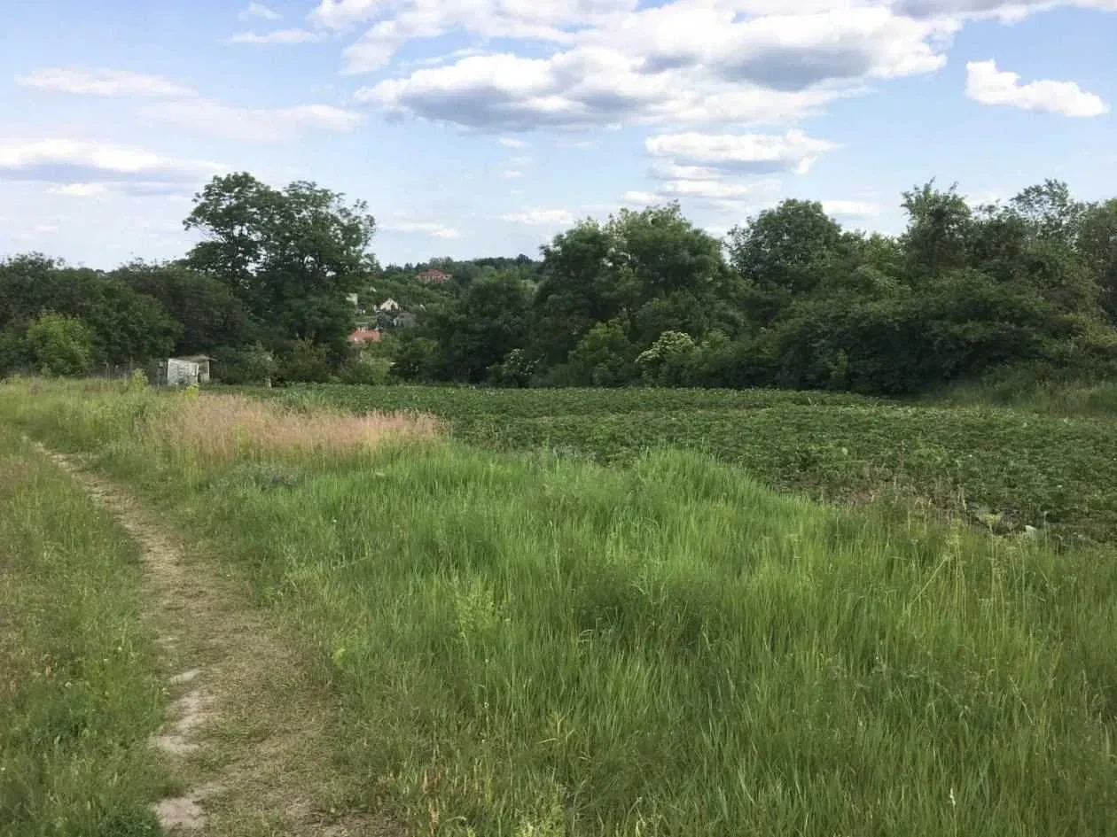 Ділянка 66 соток, Ходосівка: Чернеча гора, під забудову - фото 3