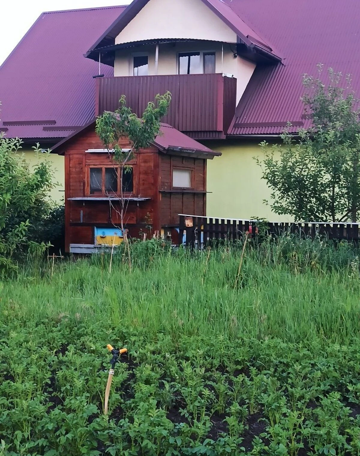 Будинок, Марківка (Кобеляки): 30 соток, баня та барбекю, фото 5