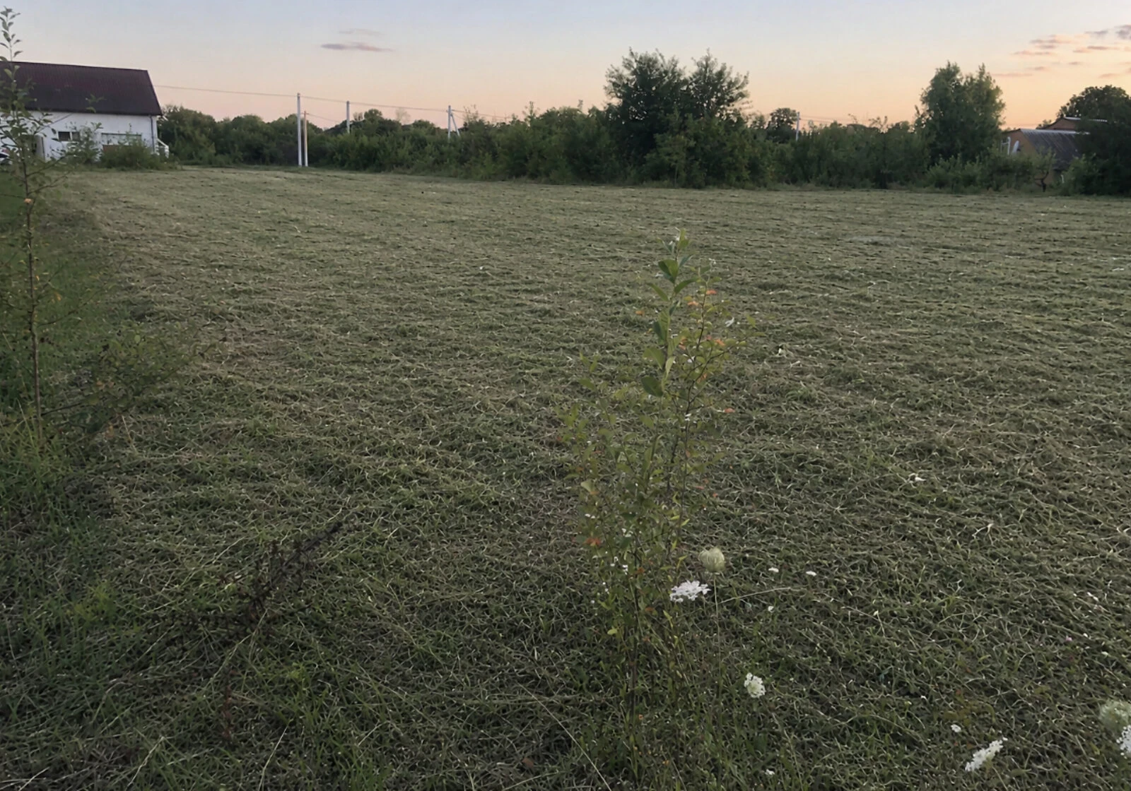 Ділянка 19.22 сотки, Парпурівці: під житлову забудову, торг можливий - фото 1