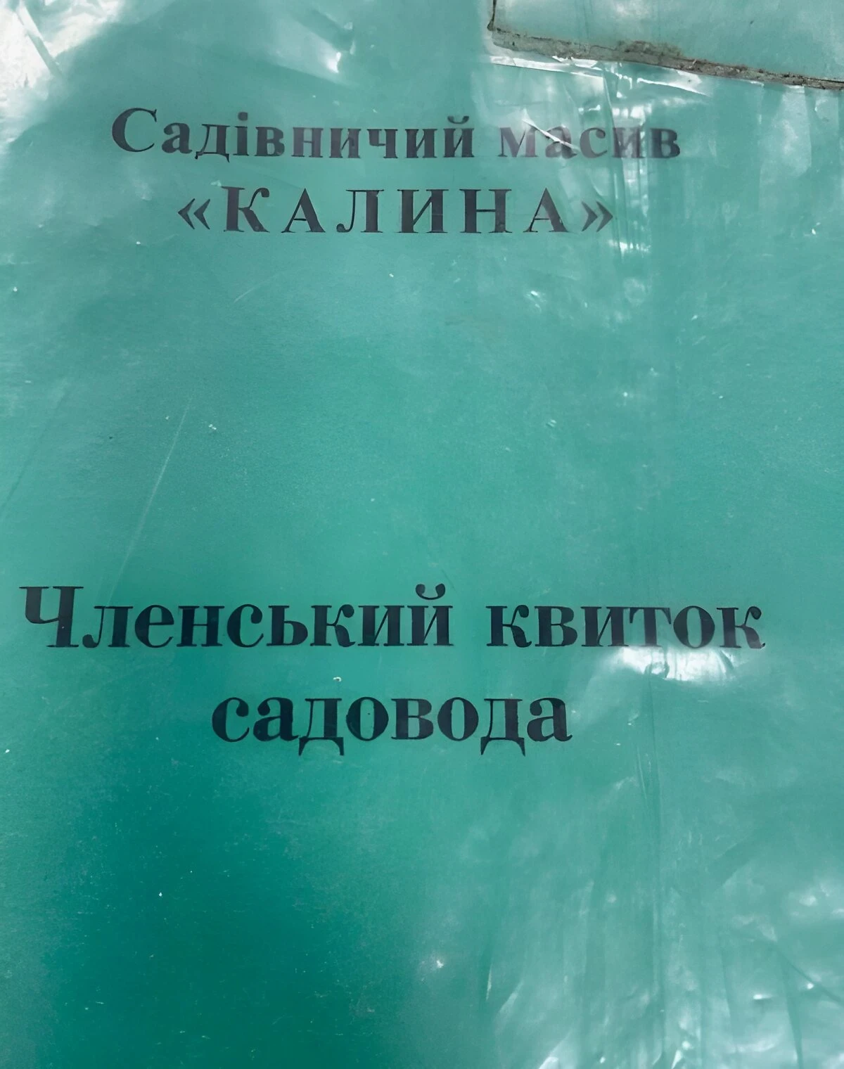 Дача, Ковель: участок 473 м², сад и огород, фото 5