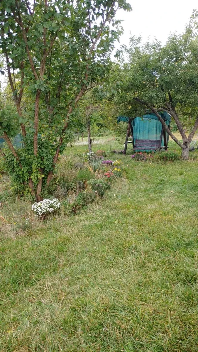 Будинок, Вендичани: 50 соток, автонавіс, власна котельня, фото 4