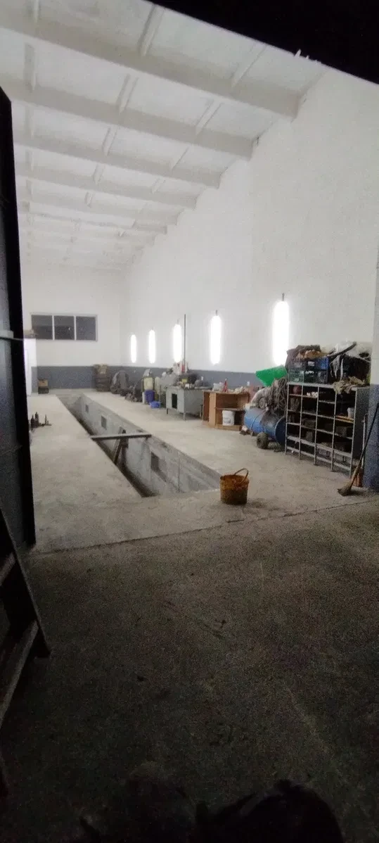 Гараж, Богуна: подвір'я та оглядова яма, фото 2