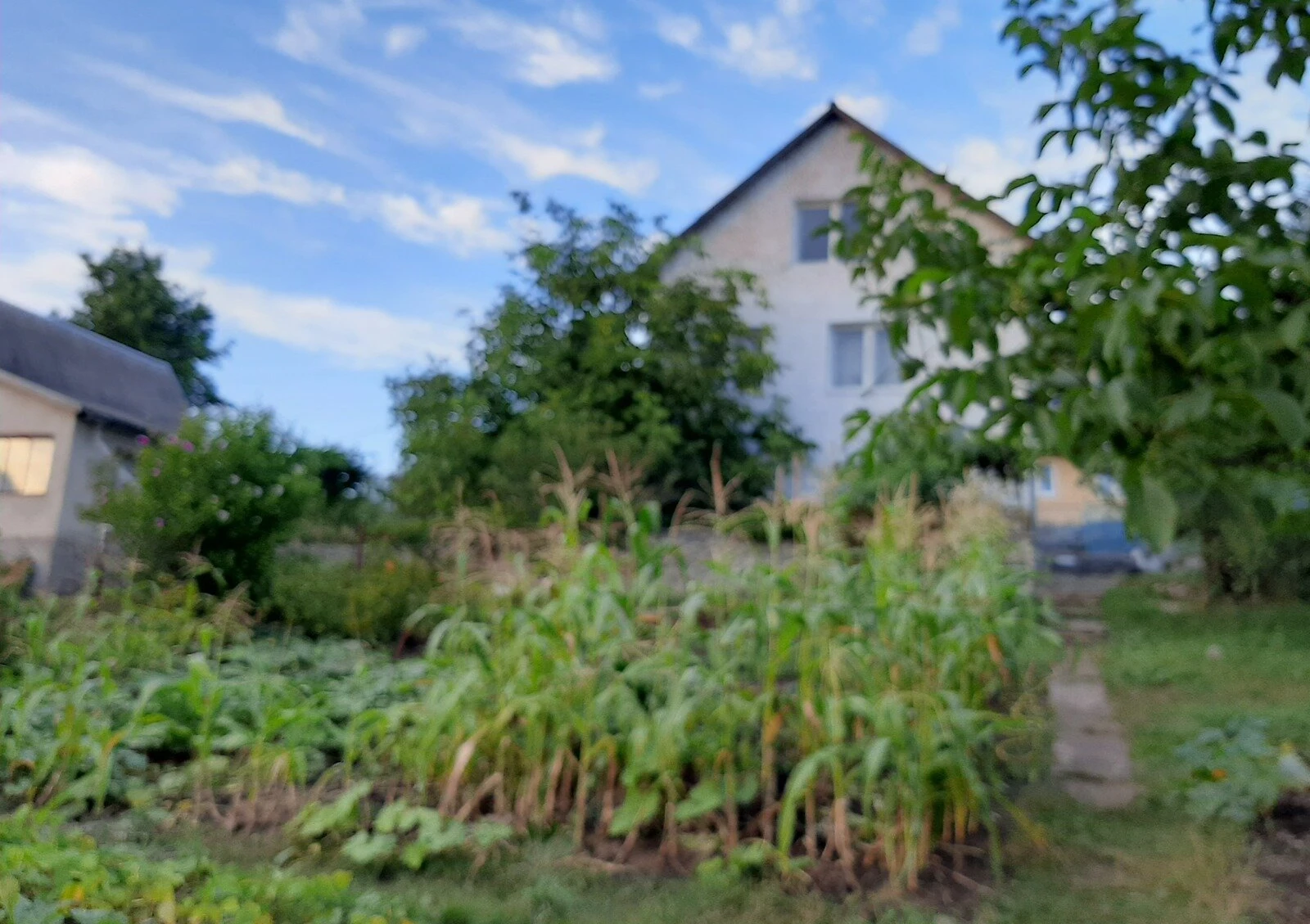Будинок, Підгородне: сад, свердловина, індивідуальне опалення - фото 1