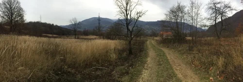 Ділянка 21 соток, Сусково: 200 м до Forest Stream, можливий обмін, фото 5