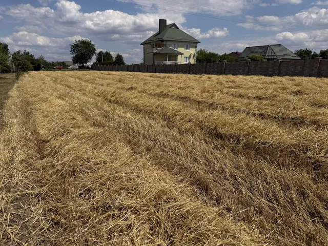 Ділянка 24 соток, Вербаїв: рівна форма, асфальтований доїзд - фото 2