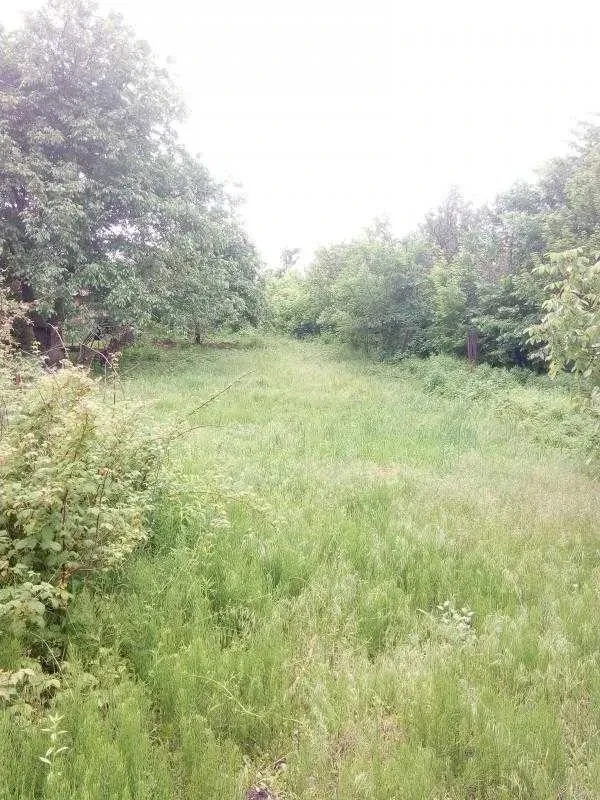 Будинок, Новобаварський: річка в кінці ділянки, торг, фото 2