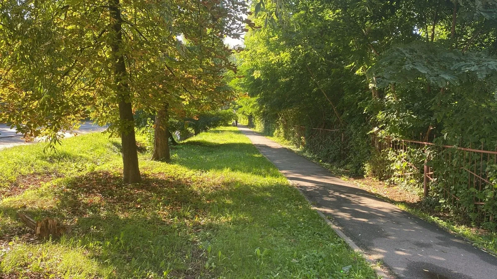 Ділянка 23,8 соток, Глеваха: комерційне призначення, світло 50 кВт, фото 2