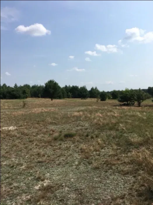Ділянка 12 соток, Козинці: ліс і озера поруч, перший власник - фото 4