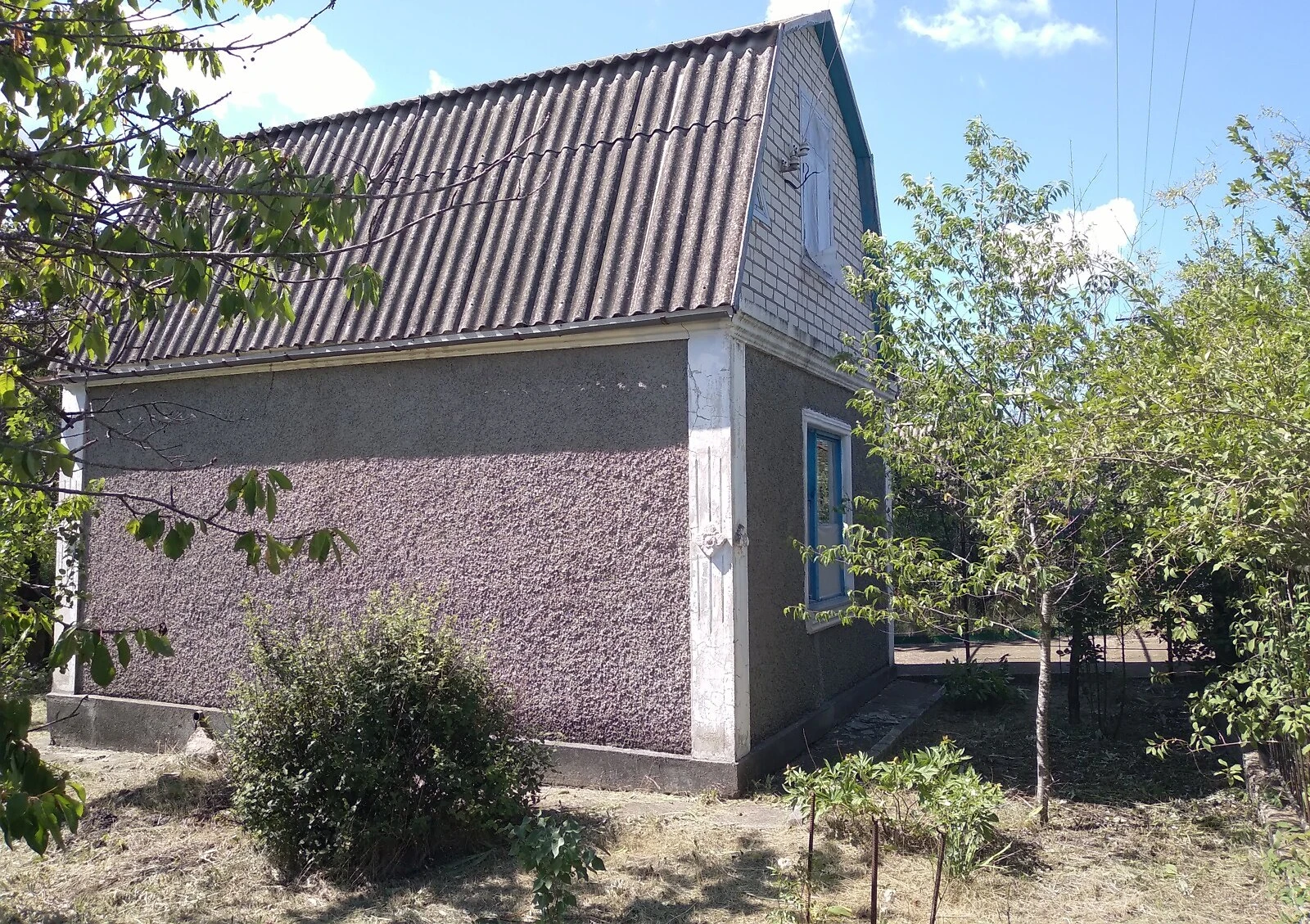 Ділянка 7.99 соток, Пересадівка: сад, виноградник, електрика - фото 5