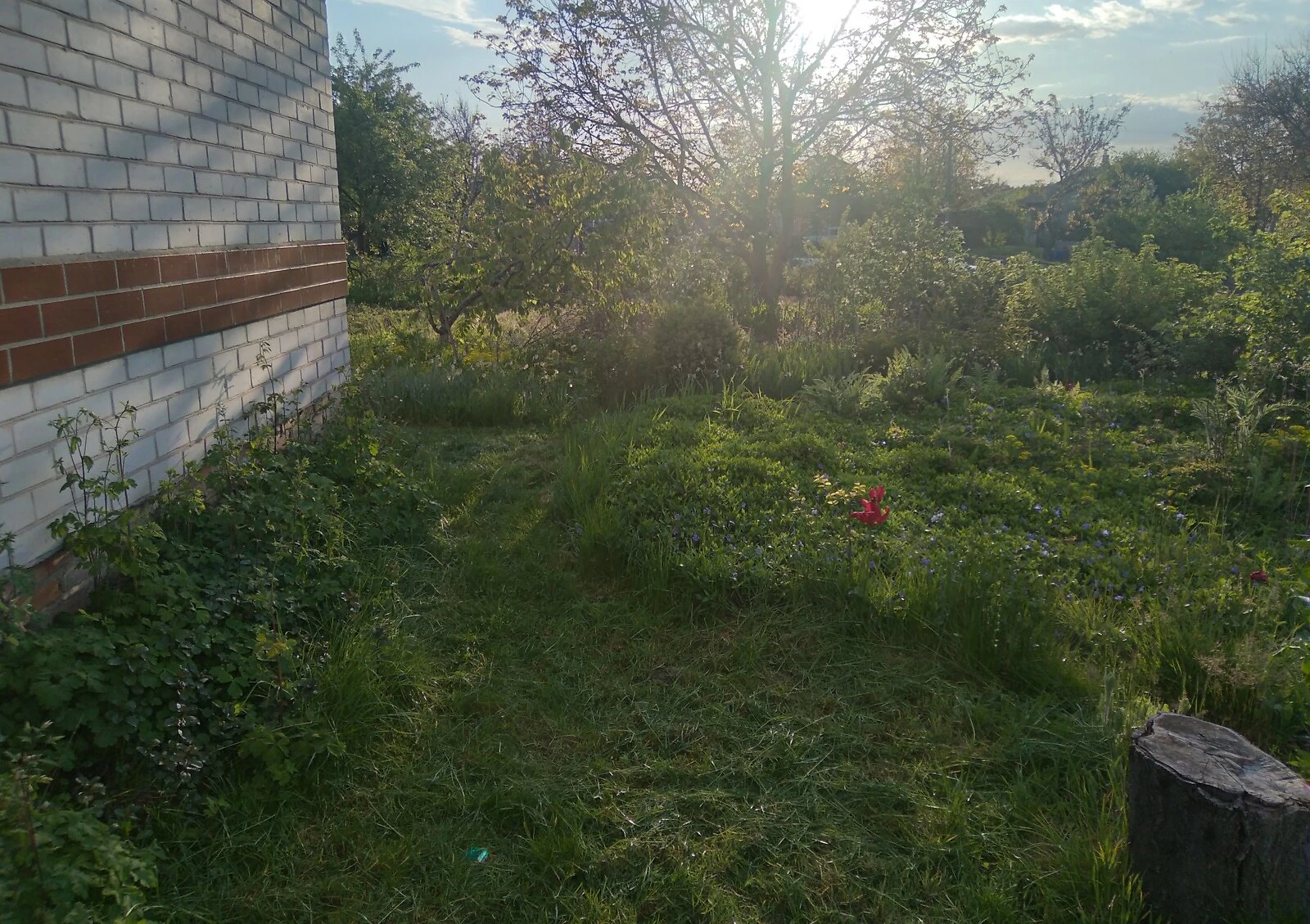 Участок 11.99 соток, Воронинцы: жилая застройка, фундамент, фото 5