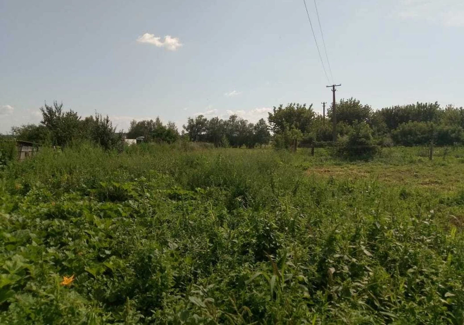 Будинок, Русанів: ділянка 70 соток, свердловина, торг - фото 2