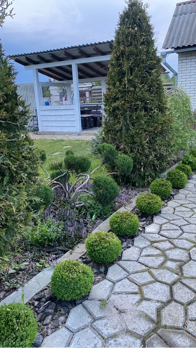 Дача, Таранське: баня, патіо, 12 соток, фото 4