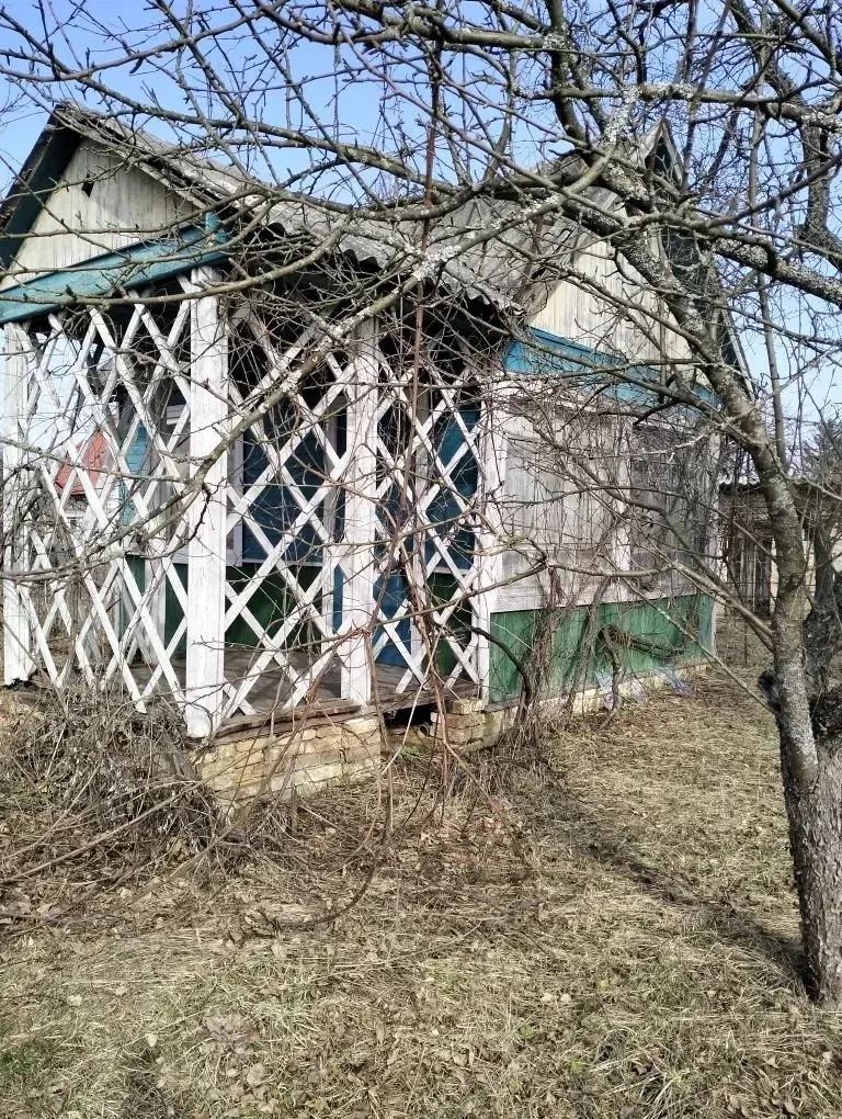 Дача, Чернігів: приватизована ділянка, світло і вода - фото 4