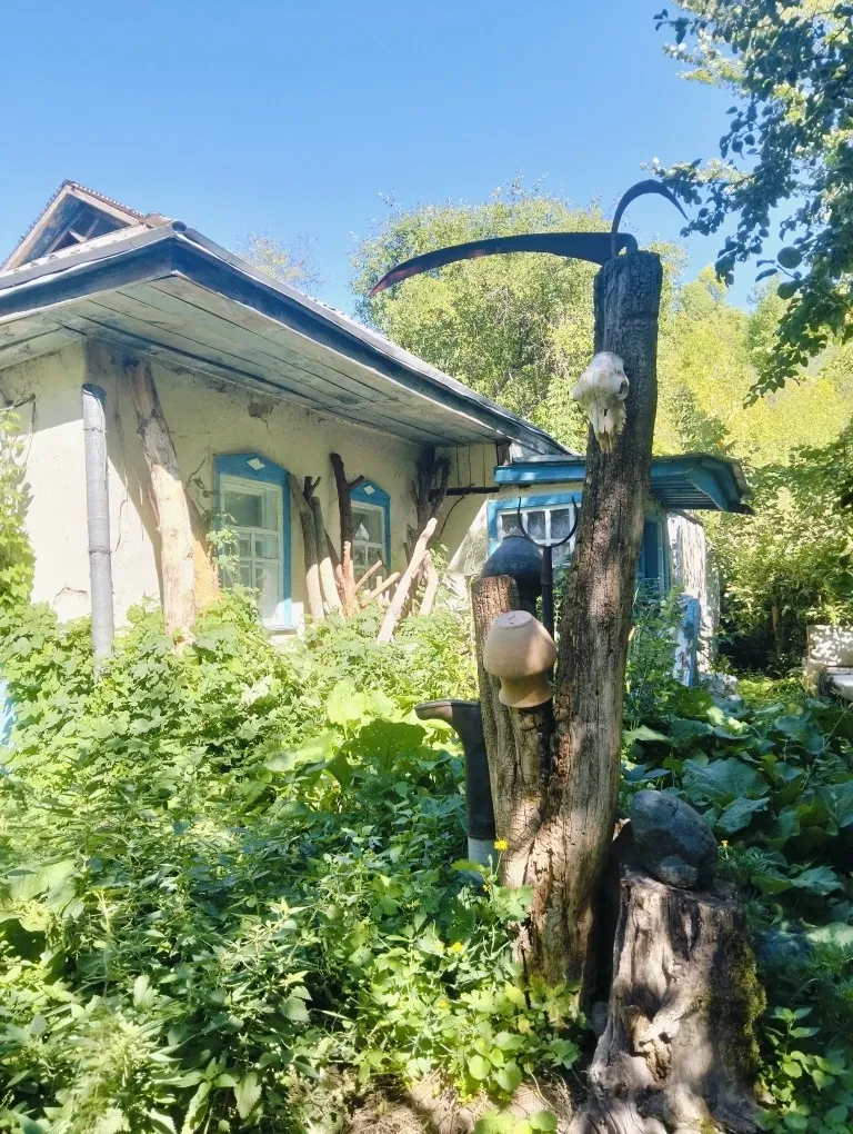Ділянка 31,67 соток, Григорівка: біля оглядового майданчика - фото 3