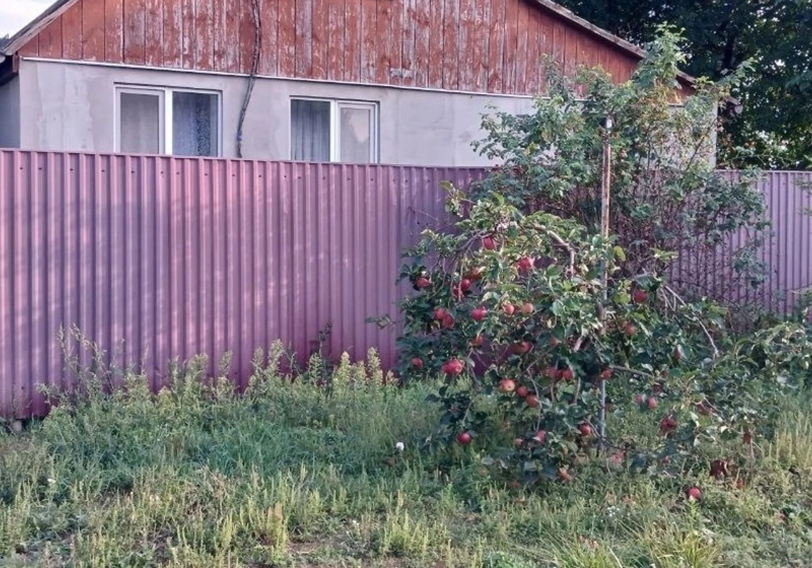 Будинок, Чутове: бесідка, свердловина - фото 2