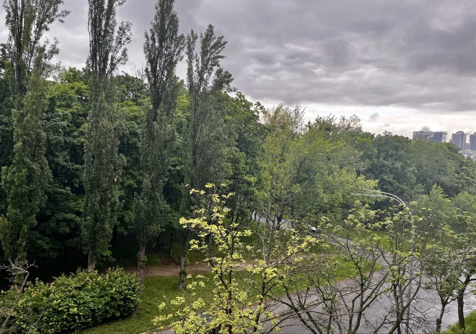 2-кімнатна квартира, Солом'янський: працює опалення, вікна на рощу - фото 4