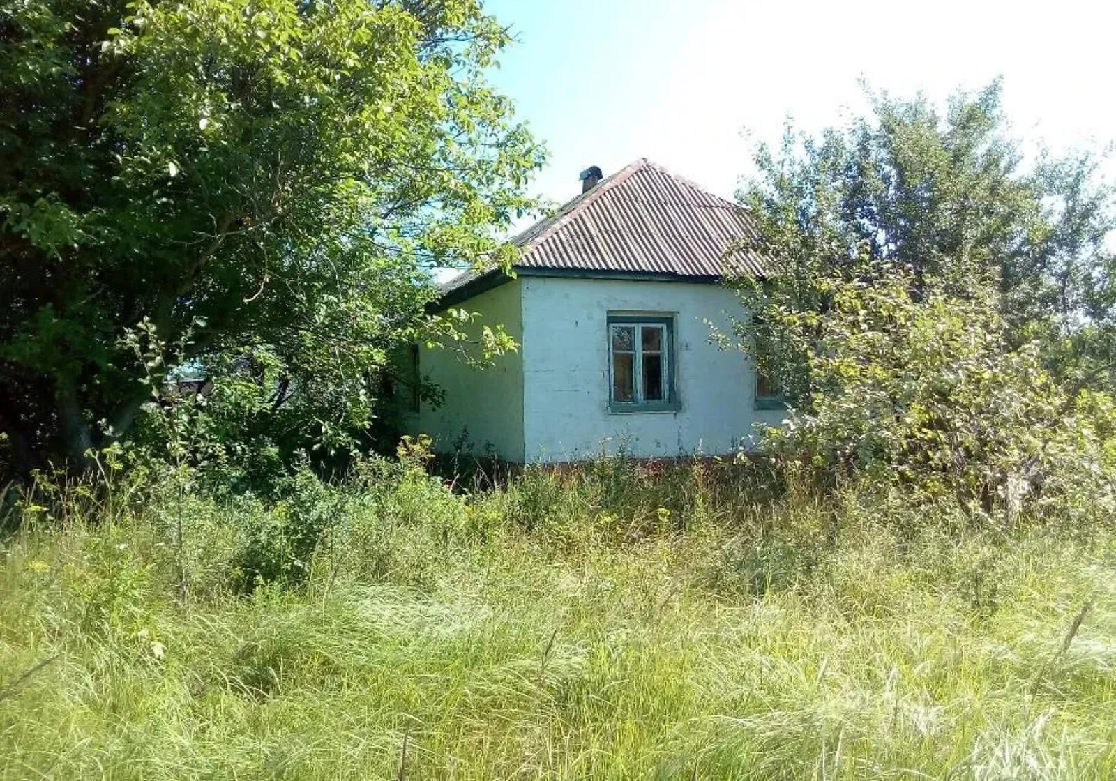 Будинок, Браниця: гараж, літня кухня, цегляні стіни - фото 1