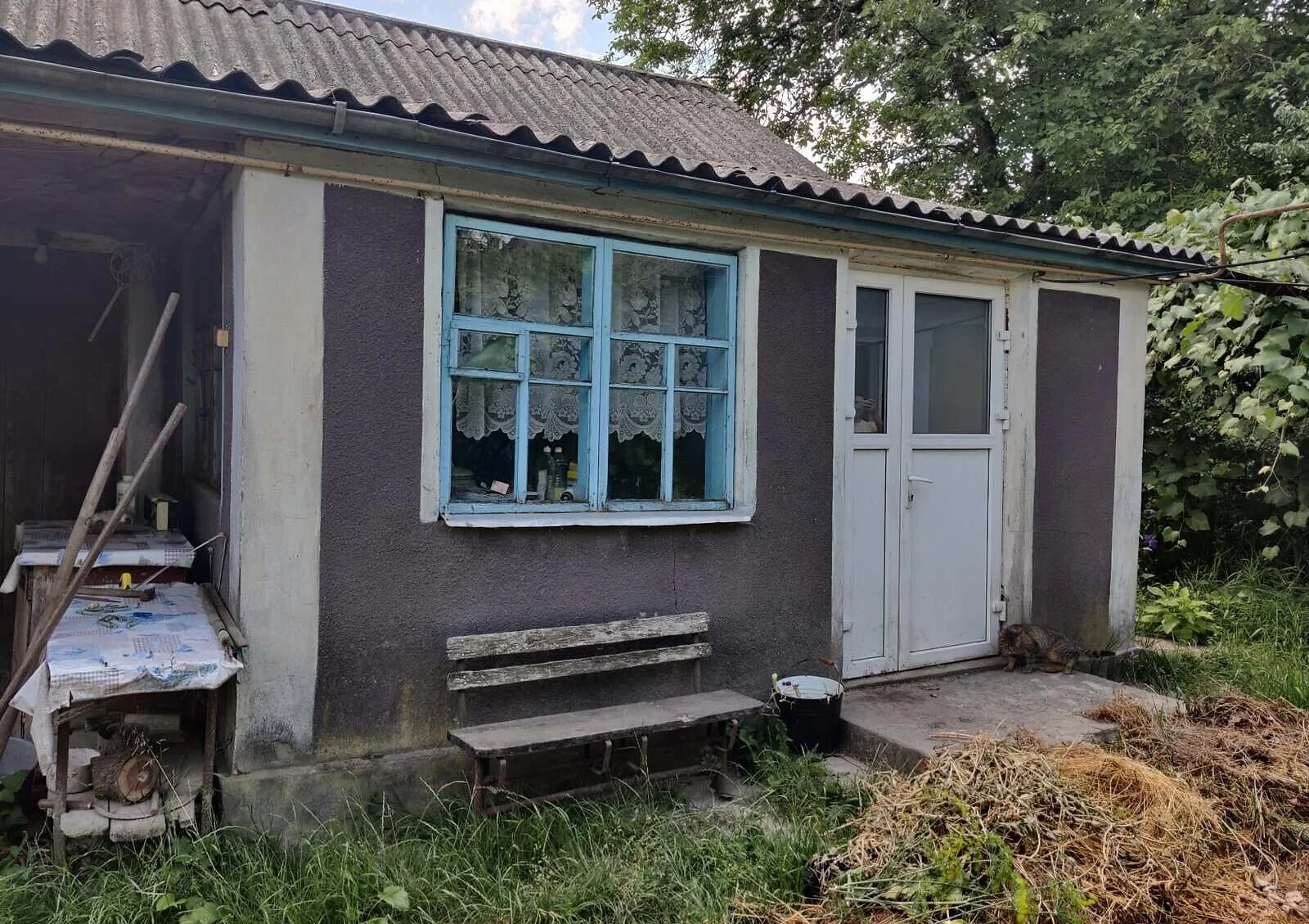 3-комнатный дом, Глушковцы: сад, летняя кухня, фото 5