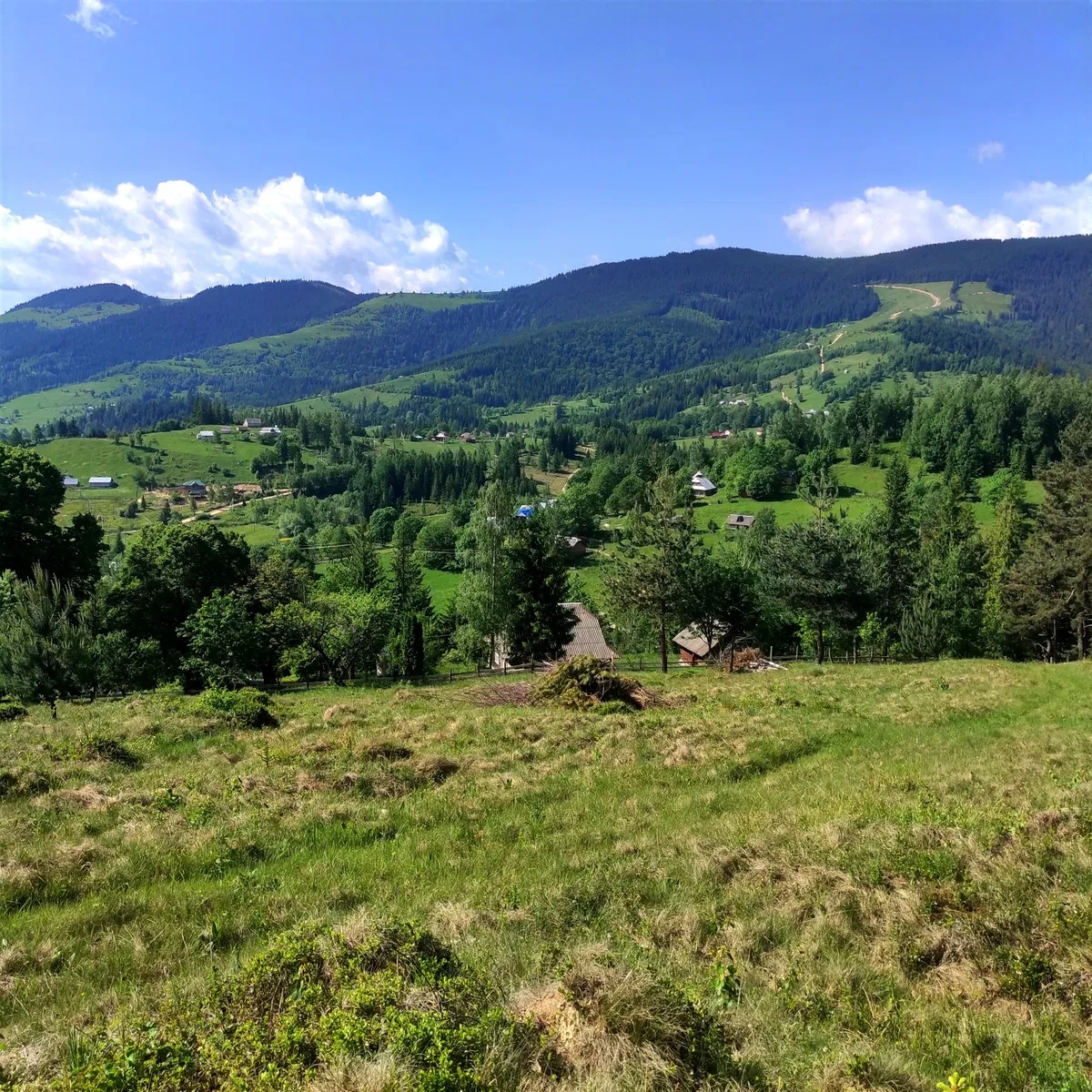 Ділянка 62 соток, Снідавка: краєвиди Карпат, 10 кВт електроенергії - фото 1