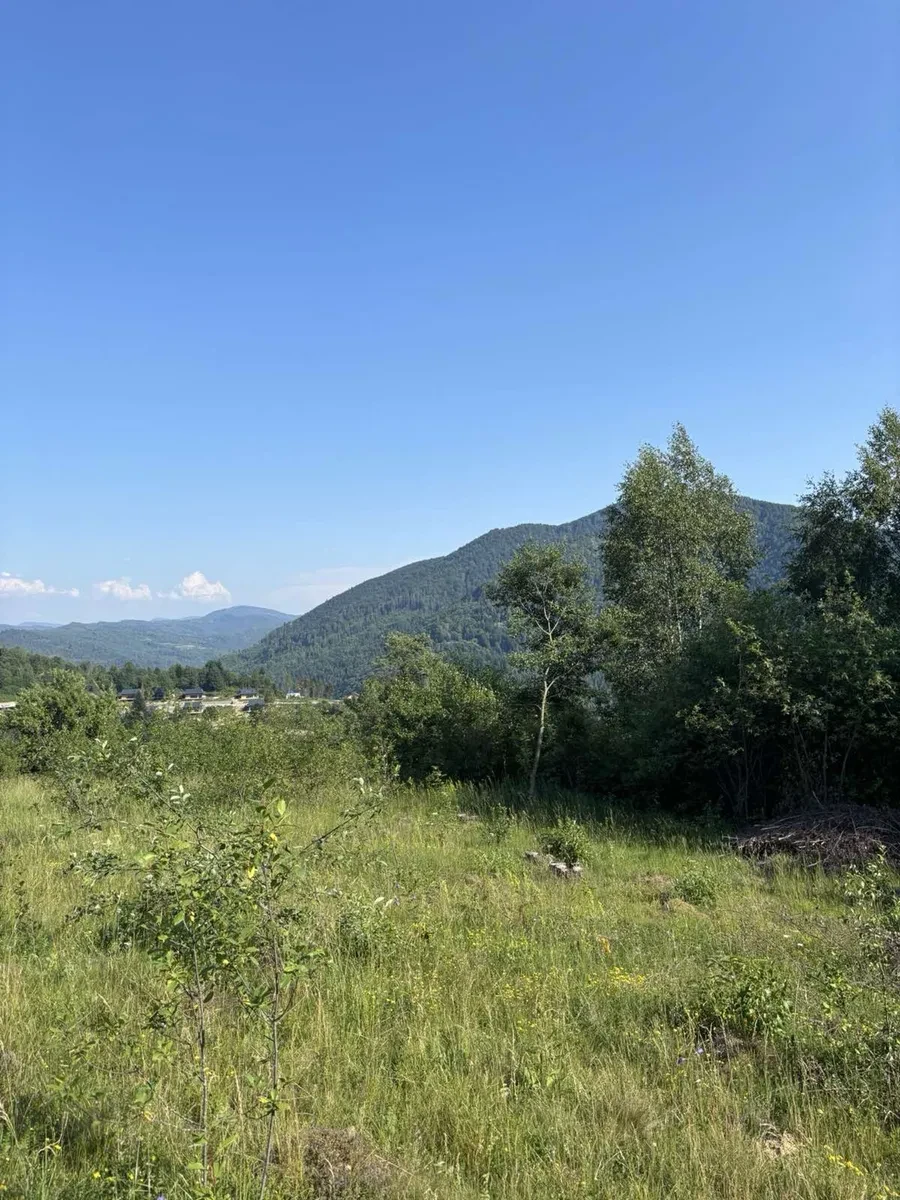 Ділянка 100 соток, Тухля: під ОЖБ, панорамний вид на гори Капрати - фото 2