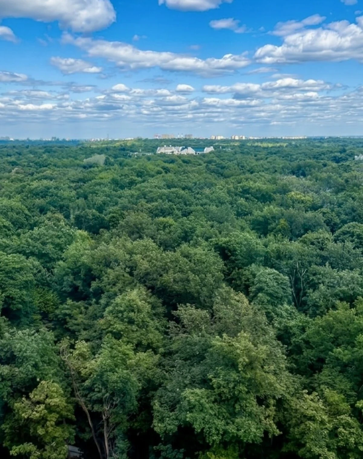 2-кімнатна квартира, Теремки-1: новобудова, укриття в будинку - фото 4