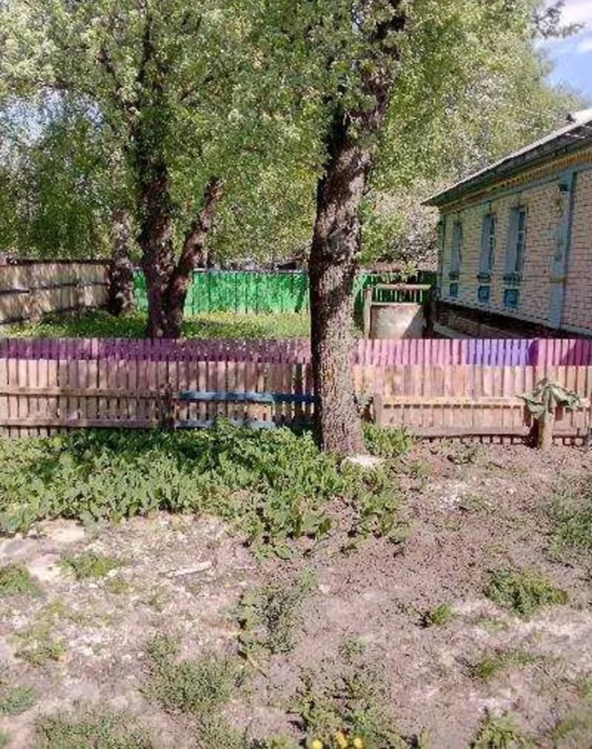 Дом, Олишевка: веранда, гараж с подвалом, сад, фото 2
