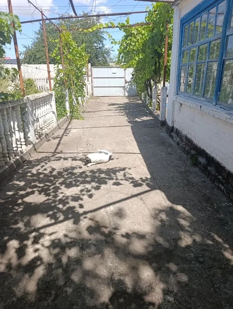 Дом, Апостолово: гараж, скважина, сад и огород, фото 4