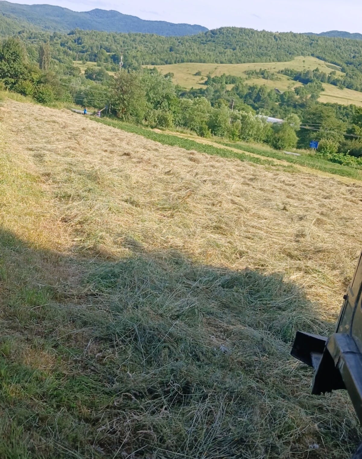 Ділянка 20 соток, Кострина: під житлову забудову, рівнинна - фото 1
