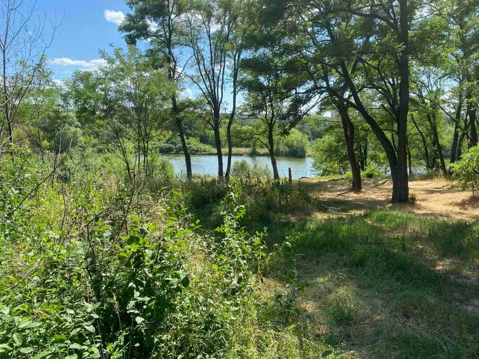 Ділянка 10 соток, Полтава: під забудову, біля ставів, електрика - фото 1