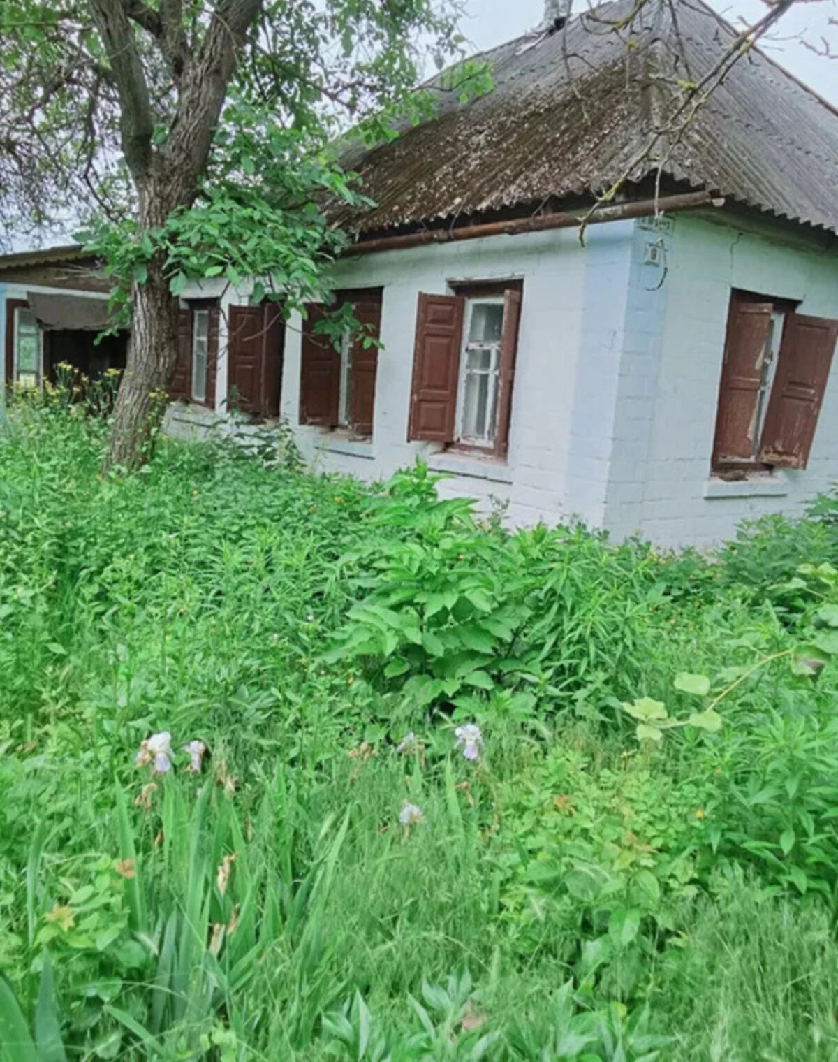 Ділянка 15 соток, Будки: під житлову забудову, під гараж, фото 4