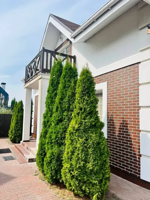 Будинок, Білогородка: тераса 50 м², автономні комунікації, навіс на два місця, фото 5