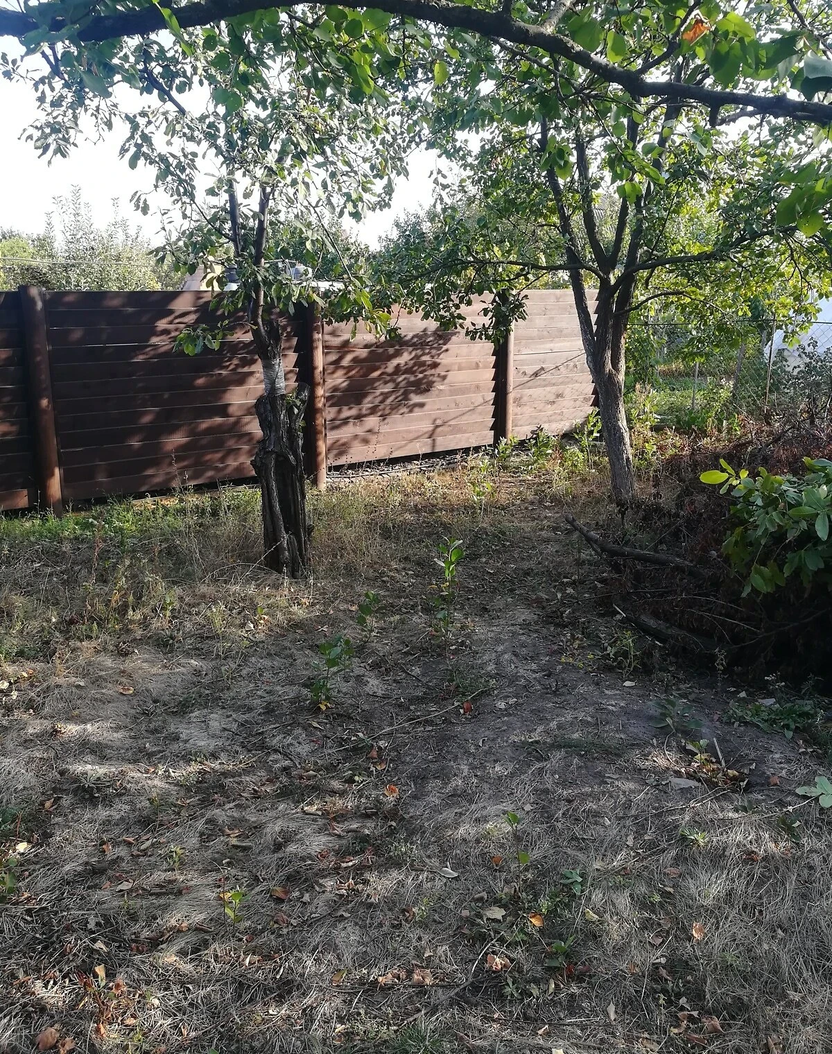 Ділянка 4.6 сотки, Підгороднє: сад і паркан, чорнозем - фото 2