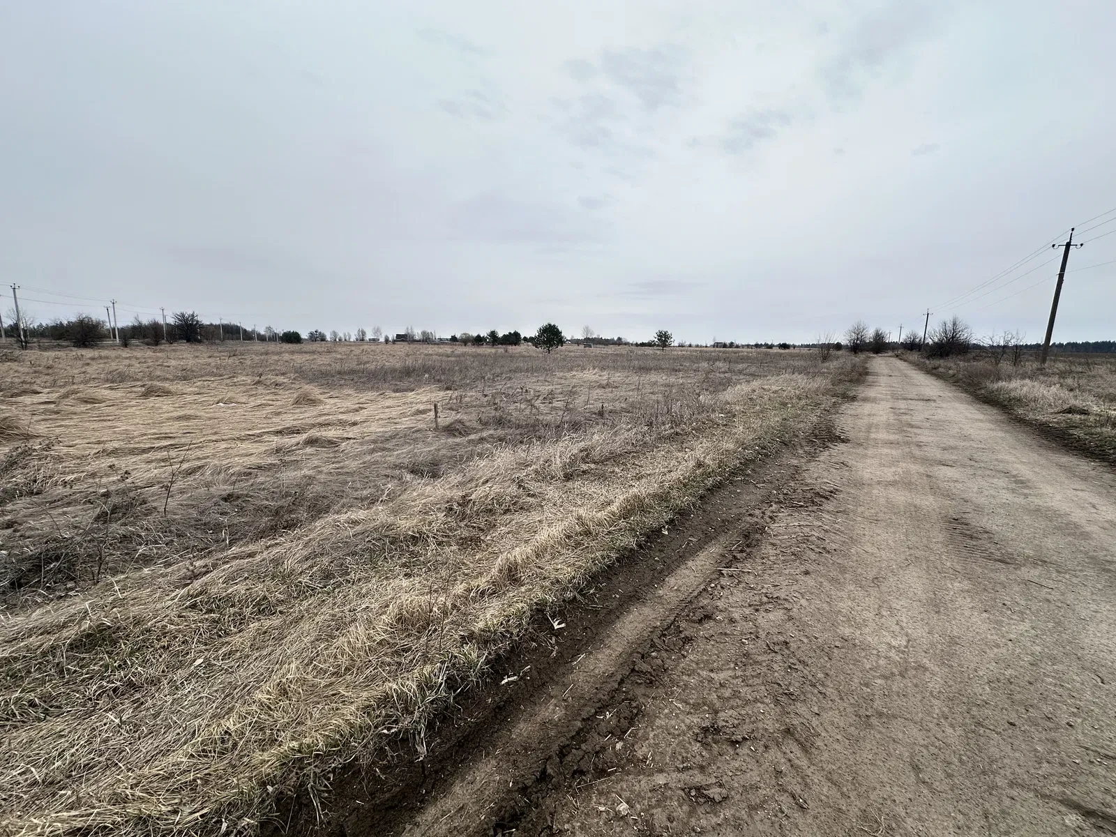 Ділянка 15 соток, Музичі: під житлову забудову, газ та електрика - фото 2