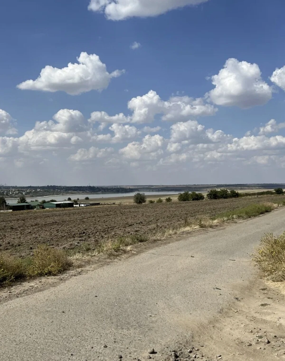Ділянка 9.55 соток, Нова Дофінівка: житлова забудова, центральний водопровід - фото 4
