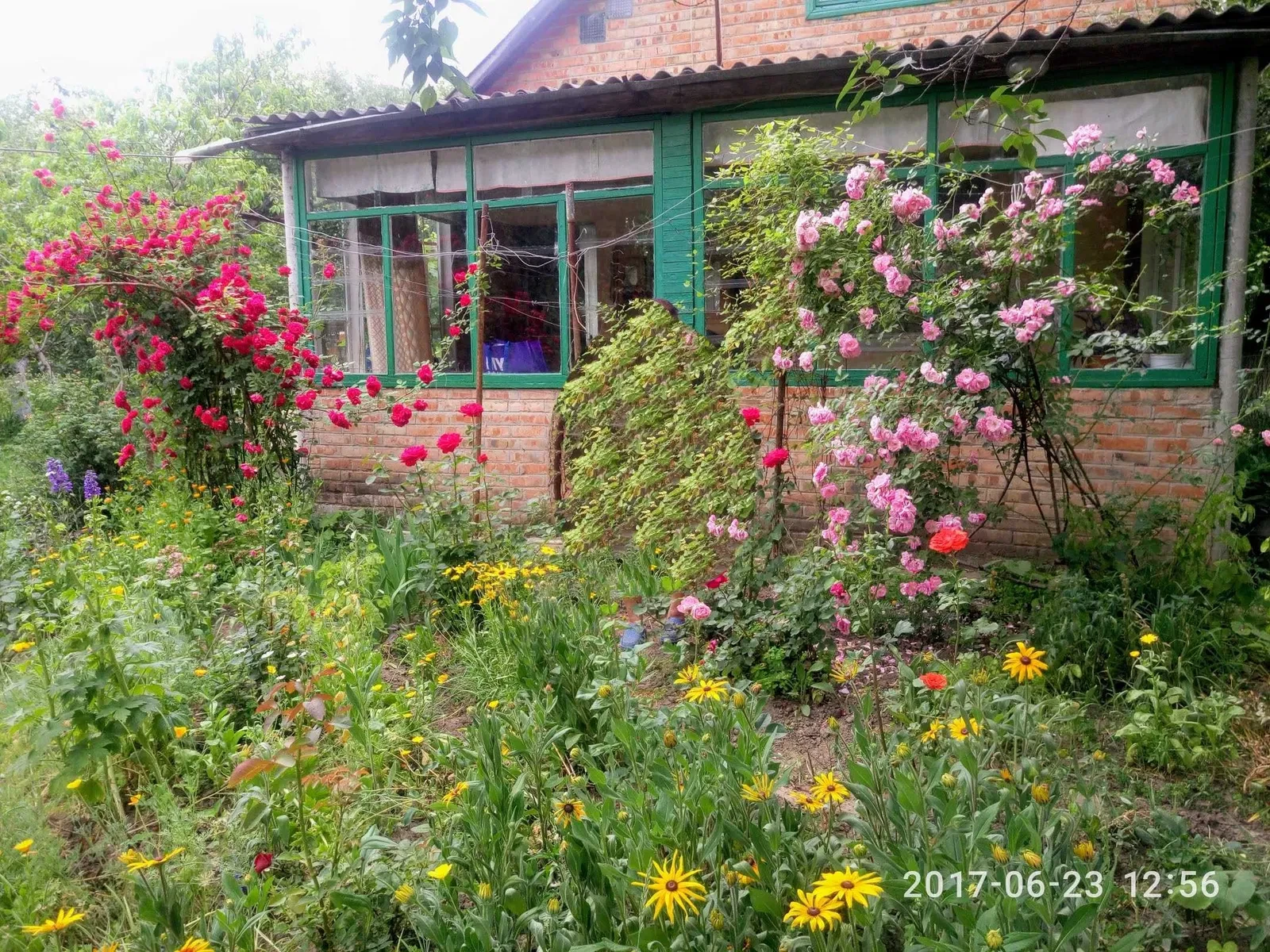 Дача, Полтава: біля річки, 15 соток, сонячні панелі, фото 5
