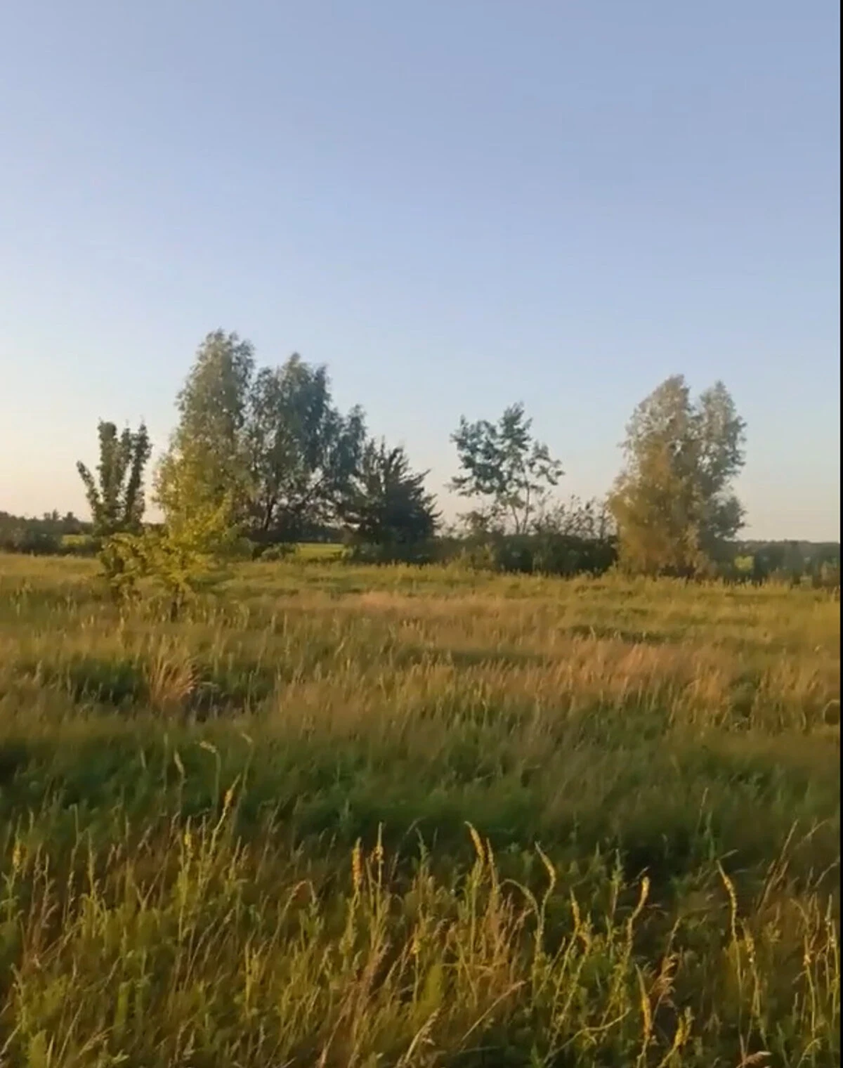 Ділянка 15 соток, Корнин: під житлову забудову, струмок, чорнозем, фото 5
