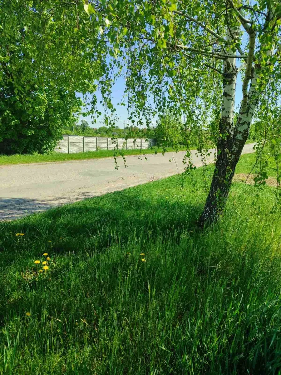 Ділянка 50 соток, Лука-Мелешківська: 3 км до Вінниці, фасадна - фото 1