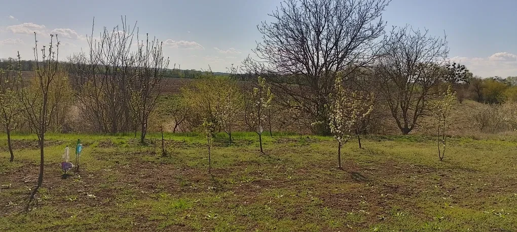 Ділянка 15 соток, Бобриця: Дніпро за 100 м, Канів за 5 км - фото 3