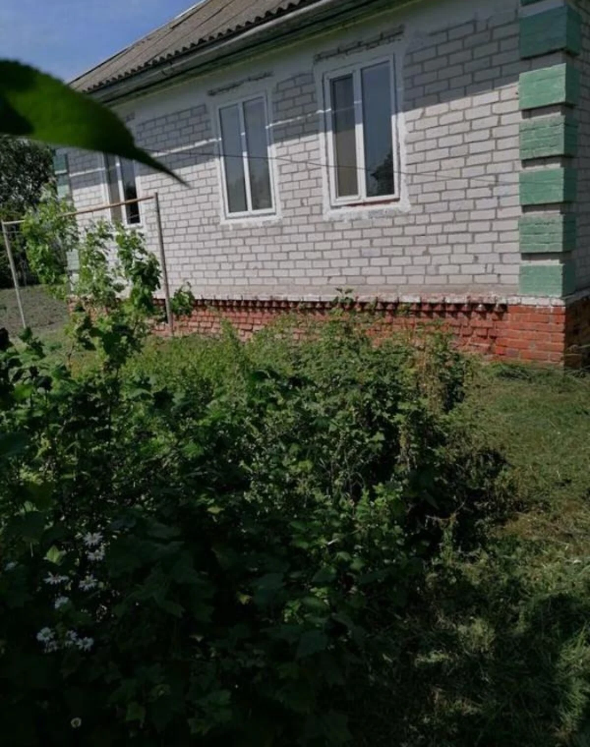 Будинок, Куликівка: 12 соток, пічне опалення, сад і сарай - фото 4