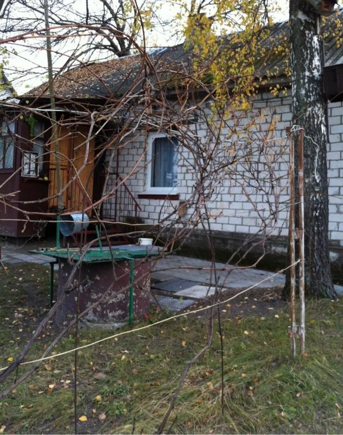 Дом, Надиновка: беседка, 27 соток, печное отопление, фото 5